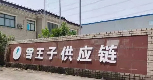 雪王子